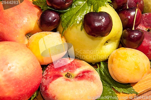 Image of Fruit tree fruit,