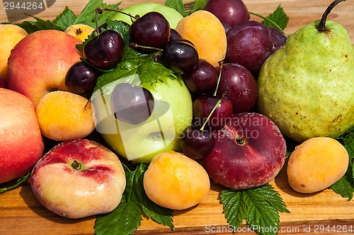 Image of Fruit tree fruit,