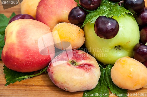 Image of Fruit tree fruit,