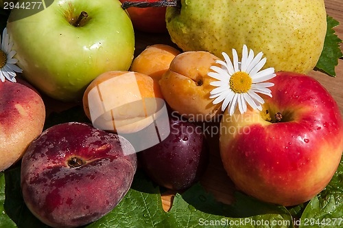Image of Fruit tree fruit,