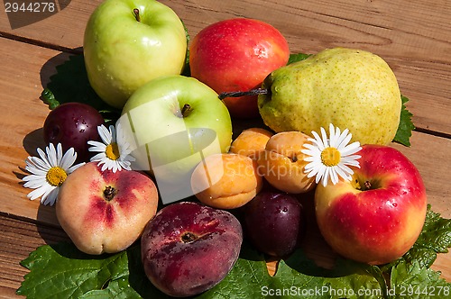 Image of Fruit tree fruit,
