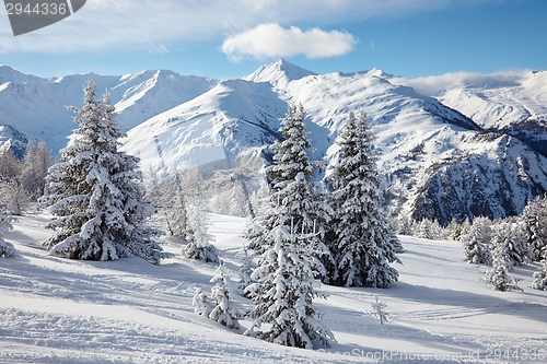 Image of Winter Landscape