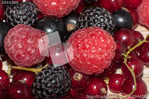 Image of Assorted Berry 