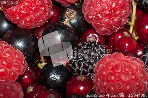 Image of Assorted Berry 