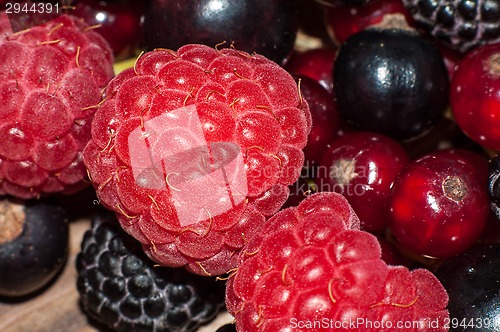 Image of Assorted Berry 