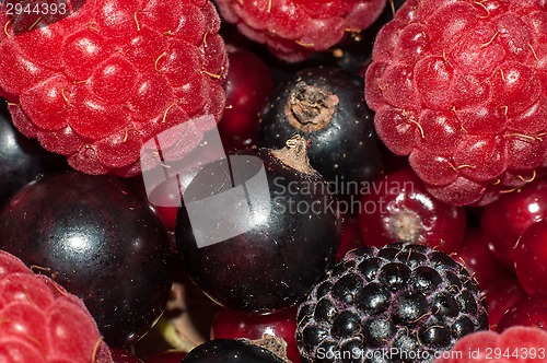 Image of Assorted Berry 