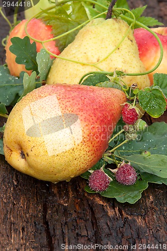 Image of Ripe PEAR