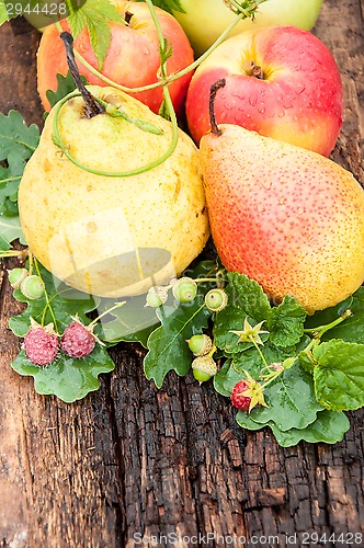 Image of Ripe PEAR,