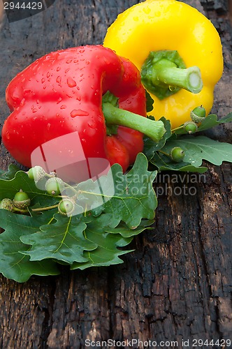 Image of Sweet pepper and oak leaf