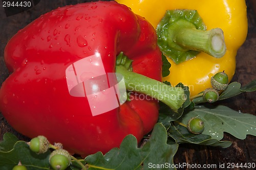 Image of Sweet pepper and oak leaf