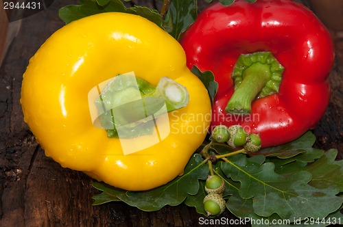 Image of Sweet pepper and oak leaf