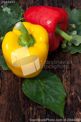Image of Sweet pepper and oak leaf