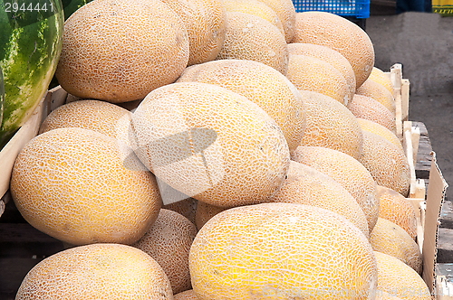 Image of Melon sold at the Bazaar