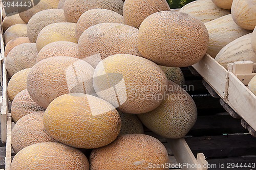 Image of Melon sold at the Bazaar