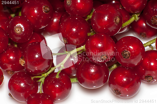 Image of Red currant