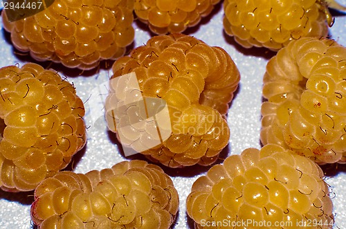 Image of Raspberry yellow or Rubus idaeus