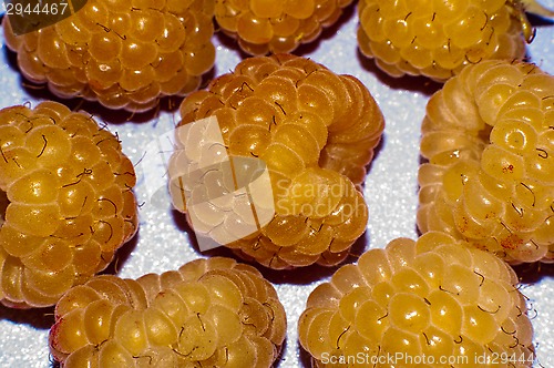 Image of Raspberry yellow or Rubus idaeus