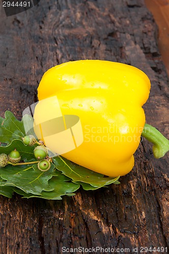 Image of Sweet pepper yellow