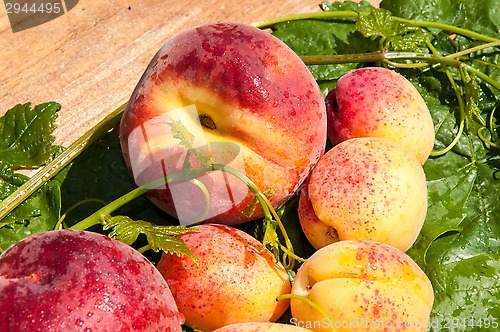 Image of Peach and apricot
