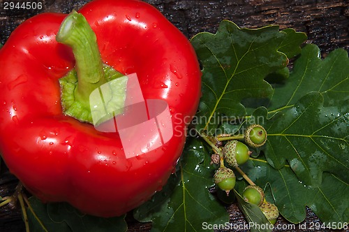 Image of Sweet pepper Red