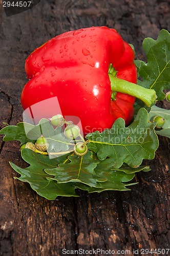 Image of Sweet pepper Red