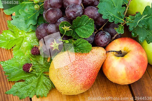 Image of Assorted fruit