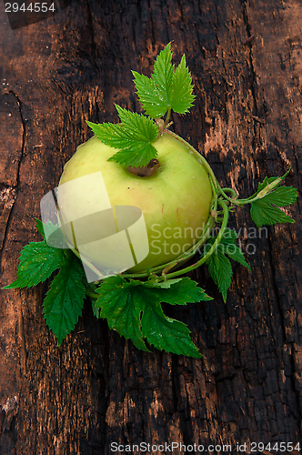 Image of Apple green