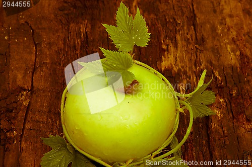 Image of Apple green