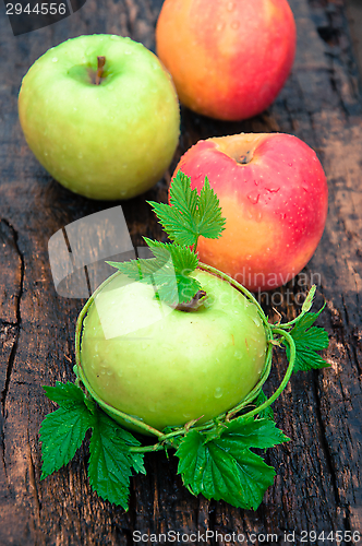 Image of Apple green