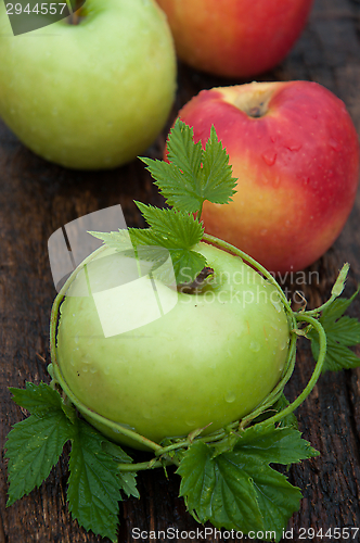Image of Apple green