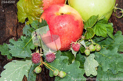 Image of Apple Red color