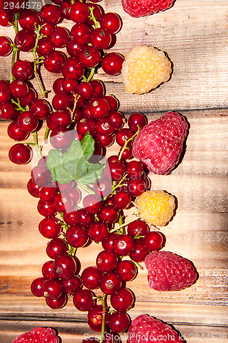 Image of Assorted Berry