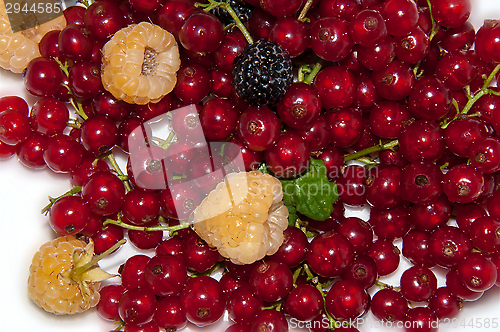 Image of Assorted Berry,