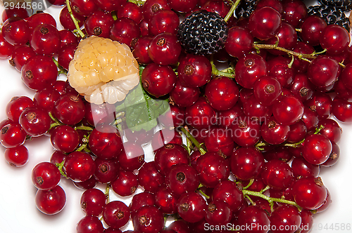 Image of Assorted Berry,