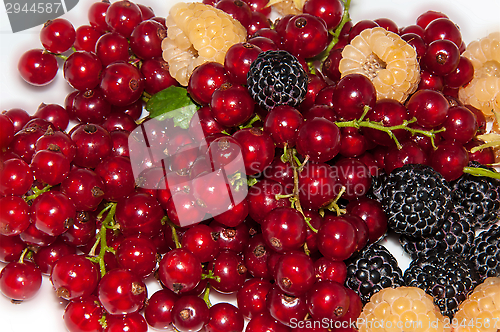 Image of Assorted Berry,