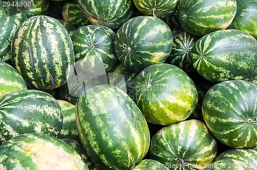 Image of Watermelon is sold at the Bazaar