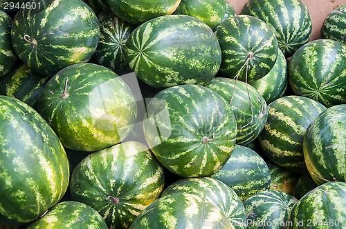 Image of Watermelon is sold at the Bazaar