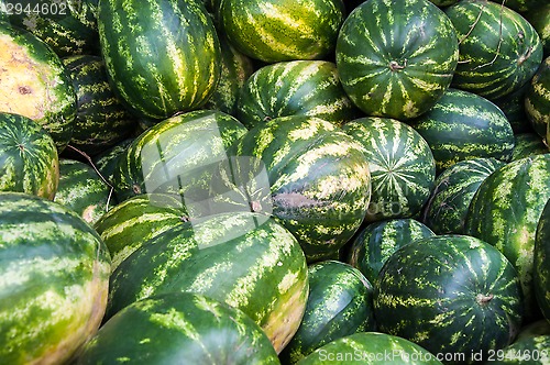 Image of Watermelon is sold at the Bazaar