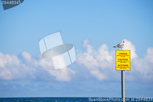 Image of Groin in the Baltic Sea with gulls