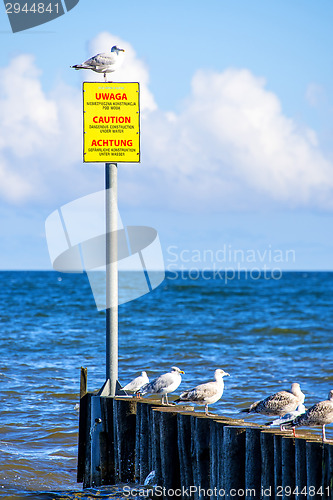 Image of Groin in the Baltic Sea with warning table and gulls