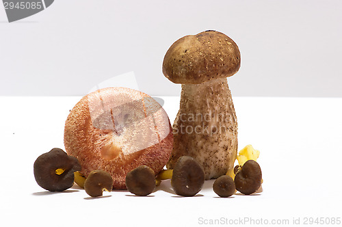 Image of Mushrooms