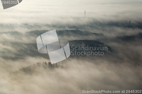 Image of Foggy Landscape