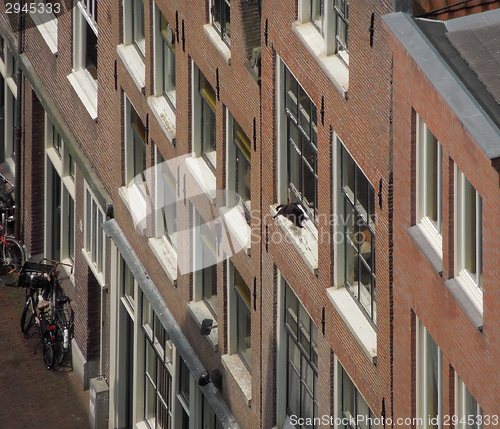 Image of house facades in Amsterdam
