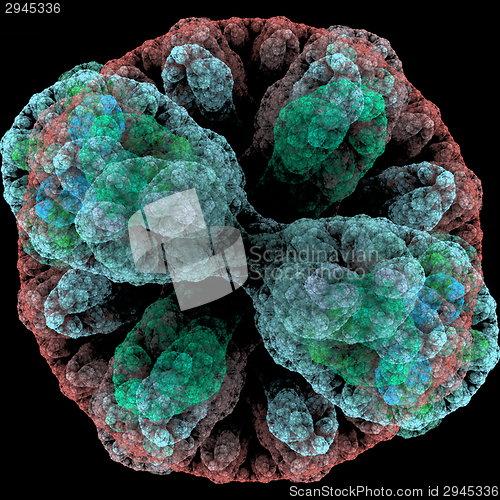 Image of Symmetrical growth of bacteria