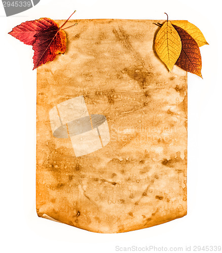 Image of Old paper with autumn leaves, autumn note