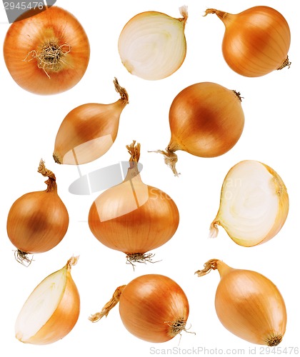 Image of Set onions