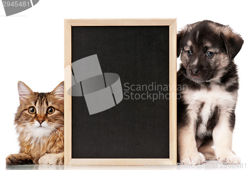 Image of Pets with blackboard