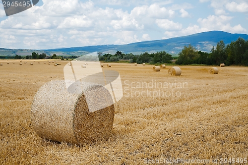 Image of Agriculture
