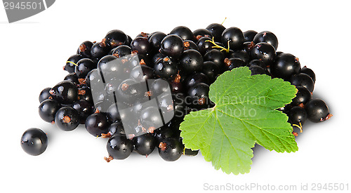 Image of Bunch Of Black Currant With Leaf Rotated