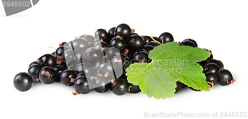 Image of Bunch Of Black Currant With Leaf